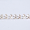 10-10.5mm High Quality White Freshwater Button Pearl pair