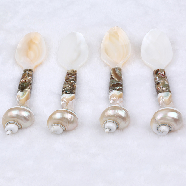 Shell Material Jewelry Craft Shell Spoon for Daily Use