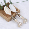 Shell Material Jewelry Craft Shell Spoon for Daily Use