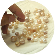 Select pearl