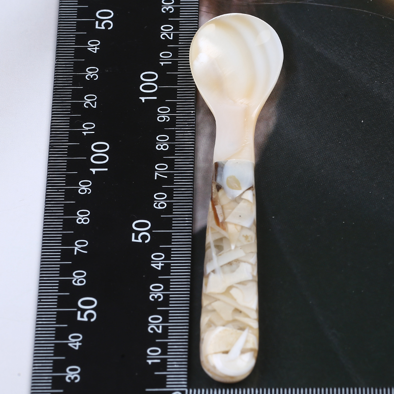 natural shell spoon