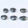 Natural Tow Side Abalone Shell Jewelry Craft for Decoration