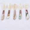 Shell Material Jewelry Craft Shell Spoon for Daily Use